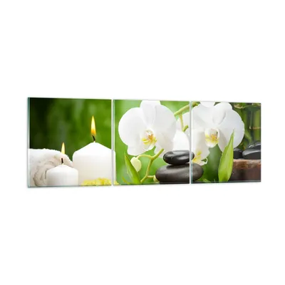 Produktbild von Bilder auf glas - Blume aromatherapie spa - 150x50cm - Glasbilder - Wandbilder - Kunstdruck - zum Aufhängen bereit - Wanddekoration aus Glas - Glas Bilder - Wandbild auf Glas - GCA150x50-2718