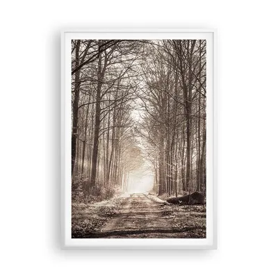 Produktbild von Gerahmtes Poster - Weißer Rahmen - Wald Straße Baum - 70x100 cm - Wand Bild - Wanddeko - Wandbilder - Kunstposter - Wandposter - Bilderrahmen - Bilder - Kunstdruck - Wandbild - P2WPA70x100-3620