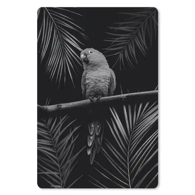 Produktbild von MuchoWow® Mauspad Mousepad Vogel auf schwarzem Hintergrund - schwarz und weiß 18x27 cm - Mousepads - Maus Mat - Pad - Mausunterlage