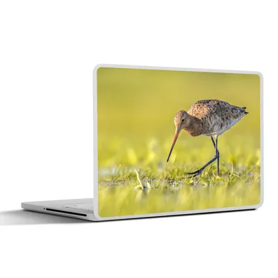 Produktbild von MuchoWow® Laptop Aufkleber Sticker Cover Vögel - Gras - Landschaft - Uferschnepfe 32.5x23.5 cm - Sticker für Laptop - Selbstklebend