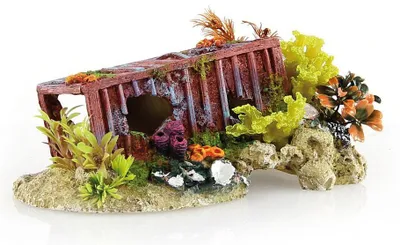 Produktbild von Amazonas Container Wrack 23 x 13,5 x 10 cm - Aquarium-Dekoration aus Kunstharz