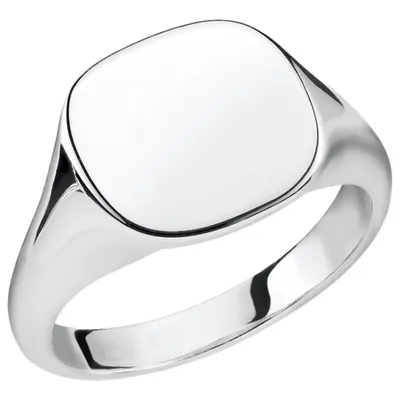 Produktbild von Thomas Sabo Signet Rings TR2248-001-21 Ring, Ringgröße:62