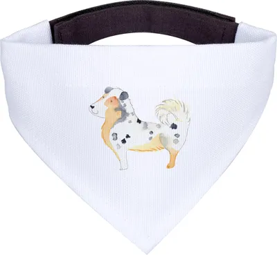 Produktbild von Mr. & Mrs. Panda Halstuch Hund Australien Shepherd - Weiß - Geschenk, Tuch, Sprüche, Spruch, Hunde-Halstuch, Für Hunde