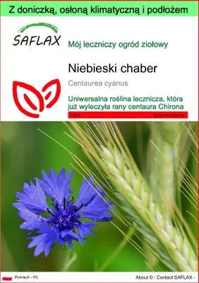 Zdjęcie produktu dla SAFLAX - Garden to go - Niebieski chaber - 27000 Nasiona - Z doniczką, pokrywą klimatyczną i podłożem do uprawy - Centaurea cyanus