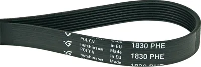 Produktbild von Europart Keilrippenriemen 1830 PH 8 E wie Zanussi 125606200/9