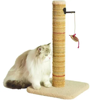 Produktbild von Katzenkratzbaum, ZOLUX Boréal, Sisal, mit Spielzeugmaus, 60 cm, Beige