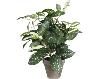Produktbild von Kunstpflanze Keulenlilie Cordyline Ø 25 H 35 cm grün