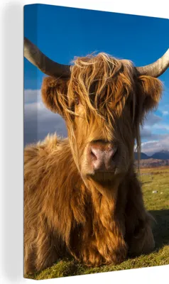 Produktbild von OneMillionCanvasses® - Leinwandbilder - 90x140 cm, Schottische Hochlandrind - Tiere - Gras, Wandbilder Kunstdruck Wanddekoration - Hochland Rind - Kuh - Gemälde auf Holzrahmen  - Wandschmucke - Schlafzimmer