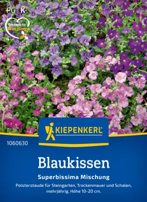 Artikelbild 2 von 'Blaukissen Superbissima Mischung' aus der Kategorie Blaukissensamen