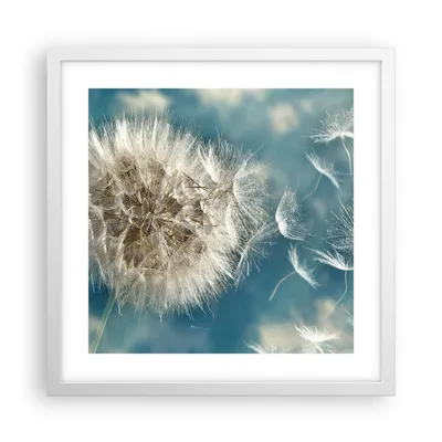 Produktbild von Gerahmtes Poster - Weißer Rahmen - Baby Sommer Pflanze - 40x40 cm - Wand Bild - Wanddeko - Wandbilder - Kunstposter - Wandposter - Bilderrahmen - Bilder - Kunstdruck - Wandbild - P2WAC40x40-3567