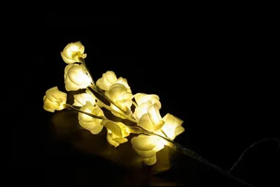 Obrázek produktu pro Světelná dekorace - Dekorativní růže - 16 LED, 45 cm