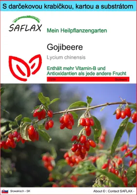 Obrázok produktu pre SAFLAX Darčeková sada - Gojibeere - Lycium chinensis - 200 Semená - S darčekovou krabičkou, prepravným štítkom, darčekovou kartou a pestovateľským médiom