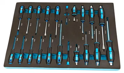 Immagine prodotto di Modulo con inserto in schiuma per carrelli portautensili 54 x 39,5 x 3 cm, kit cacciaviti professionali, 21 pezzi Hbm Machines Olanda