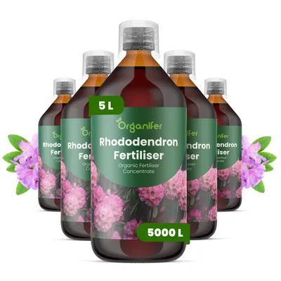 Produktbild von Rhododendren Flüssigdünger 5x1L – 2-1-8 NPK – Flüssig-Pflanzendünger für Rhododendren – Organifer