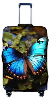 Image de Housse de protection pour valise trolley, motif papillons bleus, taille S