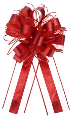 Productafbeelding van Linten voor decoratie - 12 stuks - Geschikt voor feesten - Rood - 27 cm