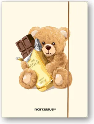 Obrázek produktu pro Složka A4+ s gumičkou Teddies&Miś na dokumenty