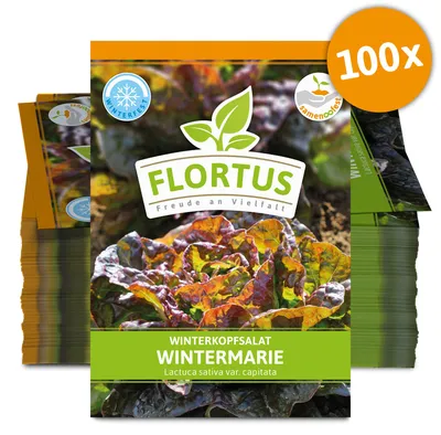 Artikelbild 1 von 'Winterkopfsalat Wintermarie (100 Tütchen)' aus der Kategorie Kopfsalatsamen