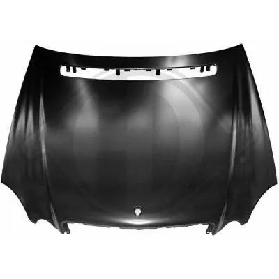 Produktbild von DIEDERICHS Motorhaube 1615000 Stahl