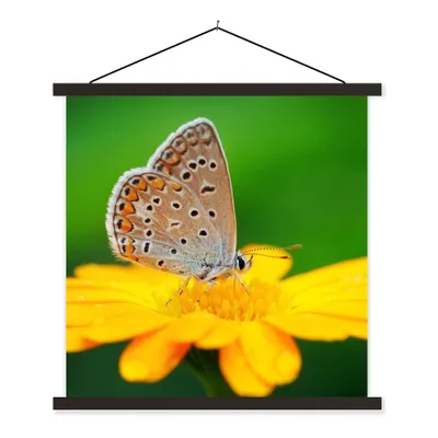 Produktbild von MuchoWow® Textilposter Blumen - Schmetterling - Natur 120x120 cm mit schwarzem Rahmen - Aufhängungsset