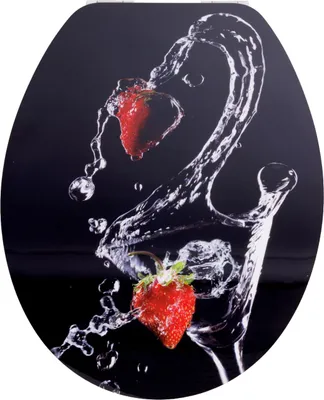 Produktbild von Primaster WC-Sitz mit Absenkautomatik Strawberry schwarz