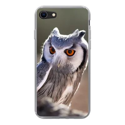 Produktbild von MuchoWow® Handyhülle Schutzhülle Hülle für iPhone 7 Eule - Makro - Tier Silikon Softcase Handy Hülle - Kartenhalter