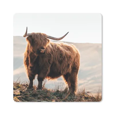 Produktbild von MuchoWow® Mauspad Mousepad Schottische Highlander - Tiere - Ländlich - Landschaft - Kuh - Natur 30x30 cm - Mousepads - Maus Mat - Pad - Mausunterlage - Gaming