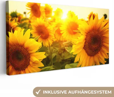 Obrázek produktu pro OneMillionCanvasses® - Plátno - Slunečnice - Žlutá - Květiny - Slunce, nástěnná malba, nástěnné dekorace obrázky do obývacího pokoje, 40x20cm