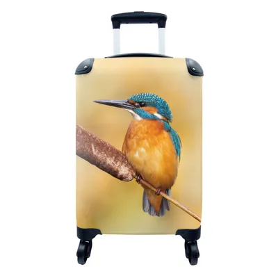 Produktbild von MuchoWow® Koffer Handgepäck Trolley Rollkoffer Kleine Reisekoffer mit 4 Rollen - Eisvogel - Natur - Vogel - Cabin Size < 55x40x23 cm & 55x40x20 cm - Fotokoffer - Kabinenkoffer - Boardgepäck - Reise-Box - Reisekoffer - Reisegepäck - Koffer mit Bild - Trolley für Kinder
