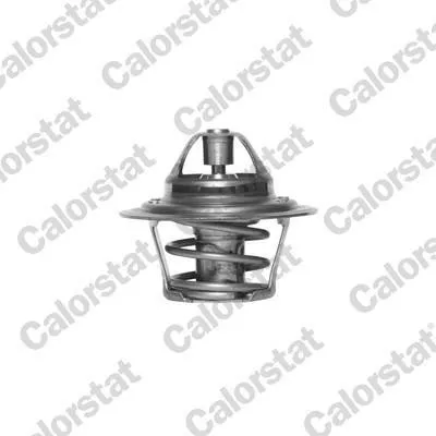 Produktbild von CALORSTAT by Vernet Thermostat + Dichtung