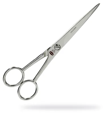 Produktbild von Premax Friseurschere 6 19089