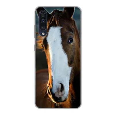Produktbild von MuchoWow® Handyhülle Schutzhülle Hülle für Samsung Galaxy A30s Pferd - Kopf - Licht Silikon Softcase Handy Hülle - Karteninhaber
