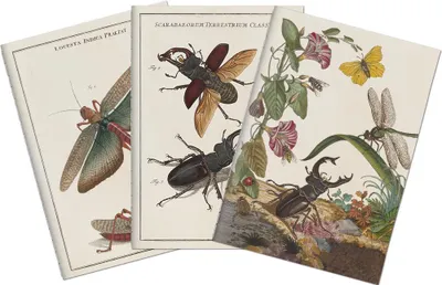 Obrázek produktu pro Sada tří notýsků Insects