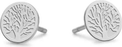 Imagen del producto de Pendientes para mujer, colección CO88, modelo 8CE-70138, color plateado