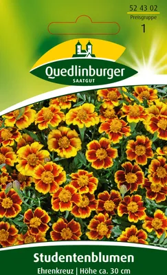 Produktbild von Studentenblume, Ehrenkreuz