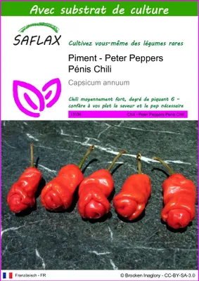 Image de SAFLAX - Piment - Peter Peppers Pénis Chili - 10 graines - Avec substrat - Capsicum