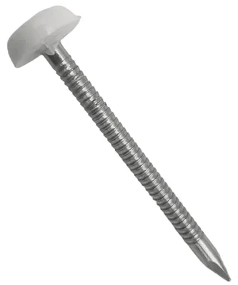 Image de Boîte de 100 Pointes Inox à Tête Plastifiée Blanche RAL 9010 – 2,5 x 40 mm – Fixation Discrète et Anti-Corrosion