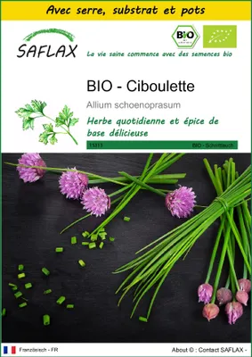 Image de SAFLAX Ensemble de culture -- Ciboulette - 250 graines - Allium