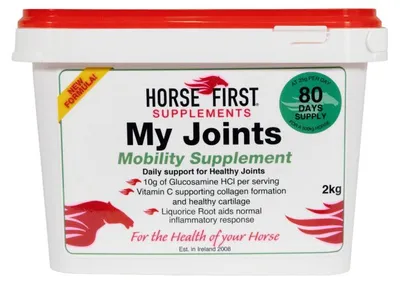 Obrázok produktu pre Komplexný doplnok stravy pre zdravý pohybový systém – My Joints Plus