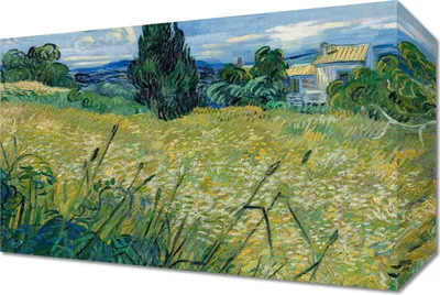 Obrázok produktu pre Obraz 30x20cm  Zelené pšeničné pole s cyprusom, Van Gogh Vintage