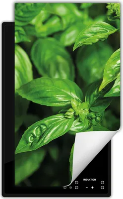 Produktbild von DarHaus Herdabdeckplatte 1 teilig 30x52 cm Anti Rutsch Matte Aufrollbar, grün - Minze