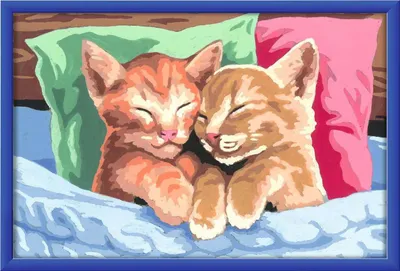 Image de Chatons câlins Ravensburger 28986