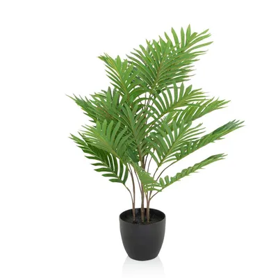 Immagine prodotto di Pianta artificiale ARECA palma verde