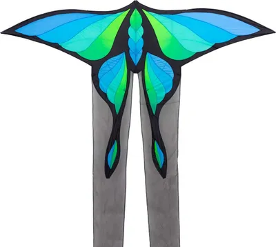 Produktbild von HQ Kinderdrachen Brasington´s Lunar Moth