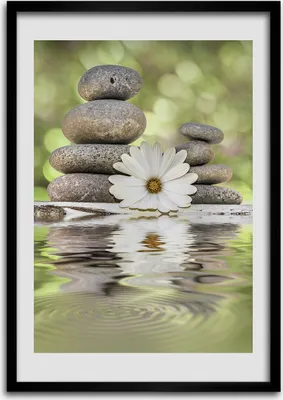 Produktbild von Bild - Bilderrahmen - Foto - 70 cm x 100 cm - MDF - Rahmen - Wandkunst - Steine ​​und Blumen