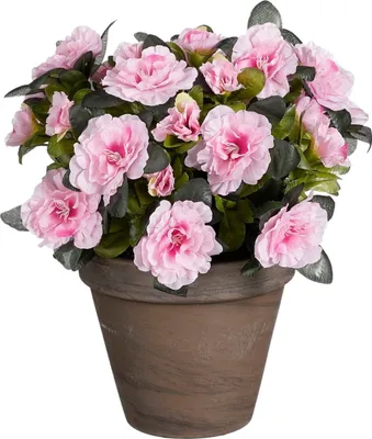 Produktbild von Mica Decorations Azalee Kunstpflanze im Blumentopf Stan - H31 x Ø26 cm - Rosa