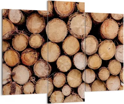 Produktbild von Bild auf Leinwand - Leinwandbild - 3 Teile - Holz Baumstämme Stämme - 130x100cm - Wand Bild - Wanddeko - Wandbilder - Leinwanddruck - Bilder - Wanddekoration - Leinwand bilder - CB130x100-4864