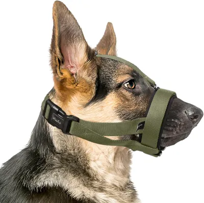 Productafbeelding van Mondkorf voor honden met verstelbare band, zachte neopreenvoering, maat M, geschikt voor middelgrote honden