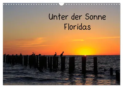 Produktbild von Unter der Sonne Floridas (Wandkalender 2027 DIN A3 quer), CALVENDO Monatskalender