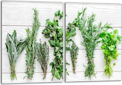 Produktbild von Glasschutzplatte für den Herd 2x40x52 Gewürze
